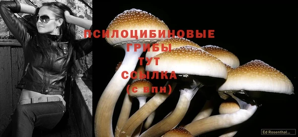 кокаин колумбия Армянск