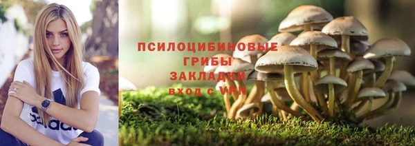СК Арсеньев