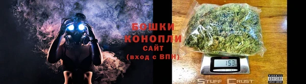 индика Каменногорск