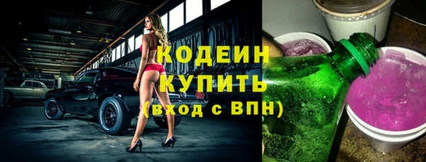 мдпв Каменка