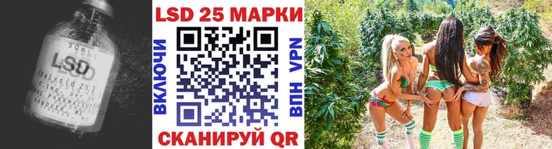 как найти закладки  Нязепетровск  ЛСД экстази ecstasy 