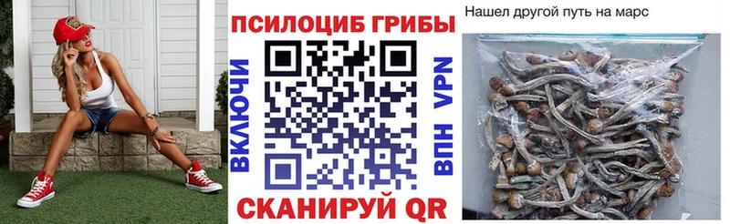 Псилоцибиновые грибы ЛСД  где купить   Нязепетровск 
